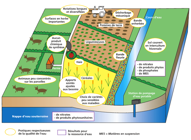 Contact BIO Franche-Comté : schéma explicatif Agriculture Biologique